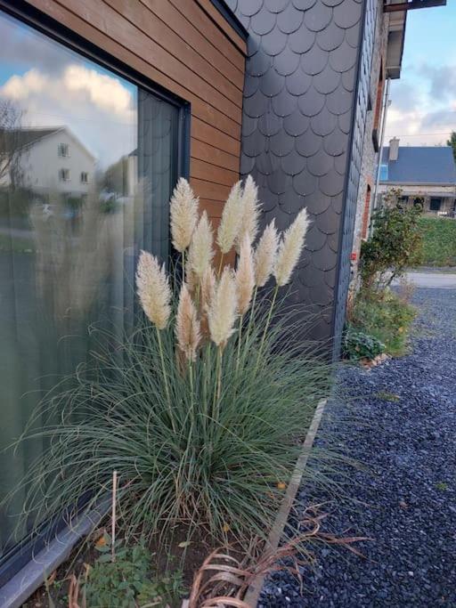 Le Reposoir Maison Spacieuse Avec Feu Au Bois Bertogne Exterior photo